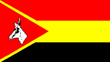 [Military Police flag - 1994]